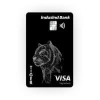 Tiger FinTech